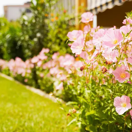 Aliaj Cozzy For 2 Apartment *