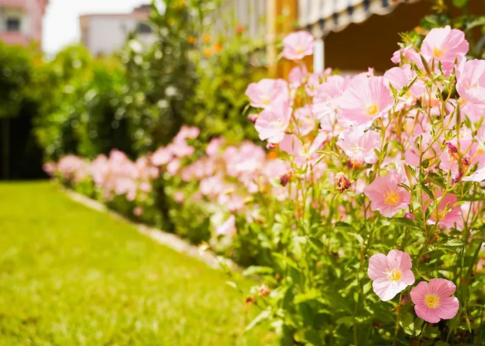 Aliaj Cozzy For 2 Apartment *